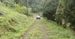 MUNNAR VISWAROOP HILL STAY