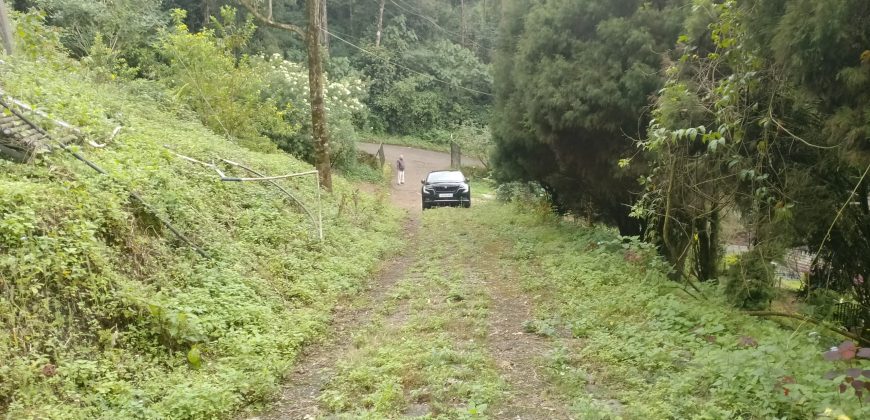 MUNNAR VISWAROOP HILL STAY