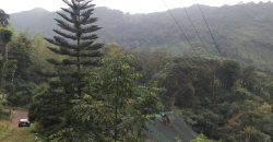 MUNNAR VISWAROOP HILL STAY