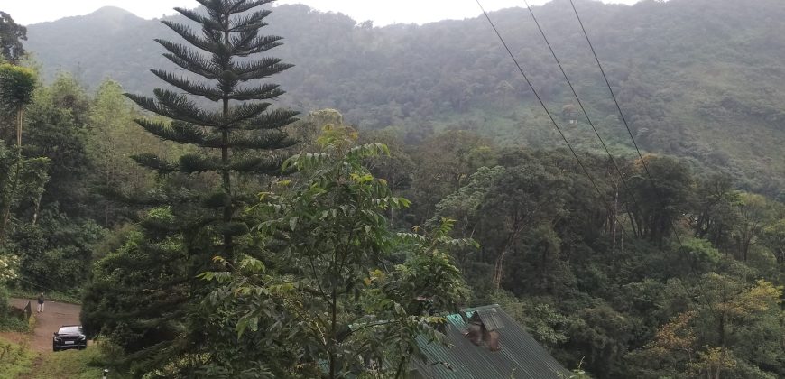 MUNNAR VISWAROOP HILL STAY