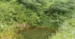 MUNNAR VISWAROOP HILL STAY