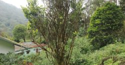 MUNNAR VISWAROOP HILL STAY