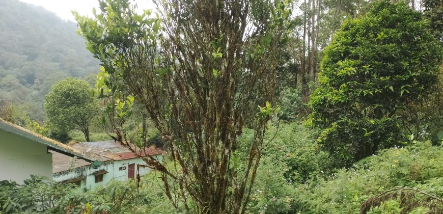 MUNNAR VISWAROOP HILL STAY