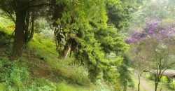 MUNNAR VISWAROOP HILL STAY