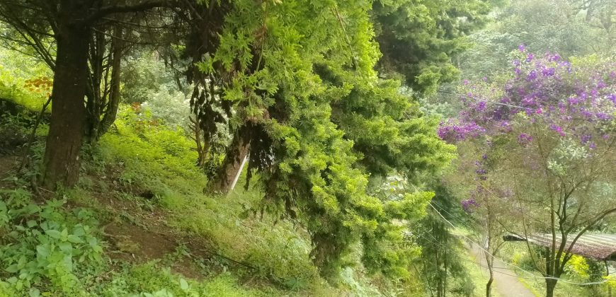 MUNNAR VISWAROOP HILL STAY